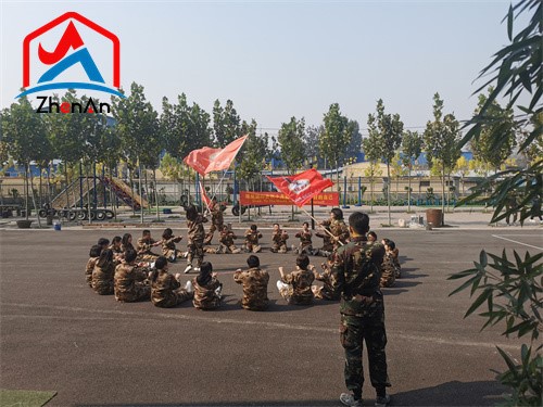 Silicon Carbide Refractory Mortar For Coke Oven Silicon Carbide Refractory Mortar For Coke Oven