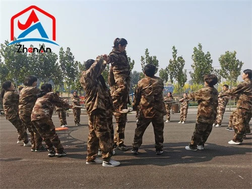 Inorganic Thermal Insulation Mortar Inorganic Thermal Insulation Mortar